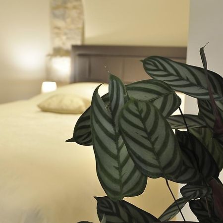 Villa Stagnja Сплит Екстериор снимка